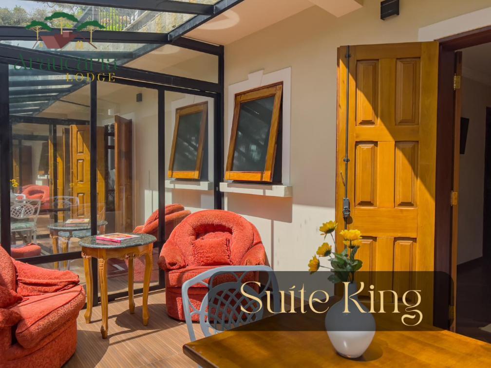 Araucaria Lodge Кампус-ду-Жордан Екстер'єр фото