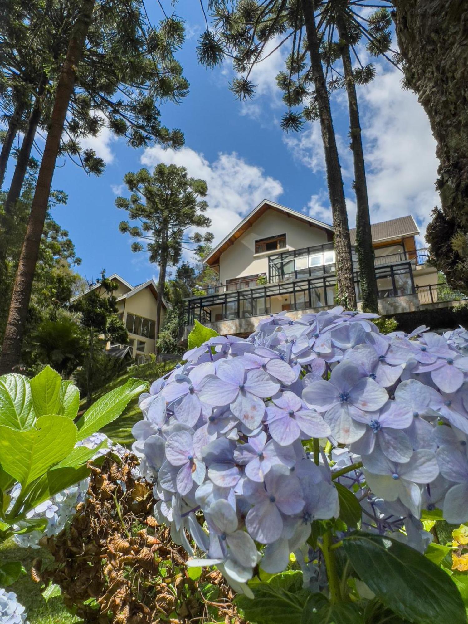 Araucaria Lodge Кампус-ду-Жордан Екстер'єр фото