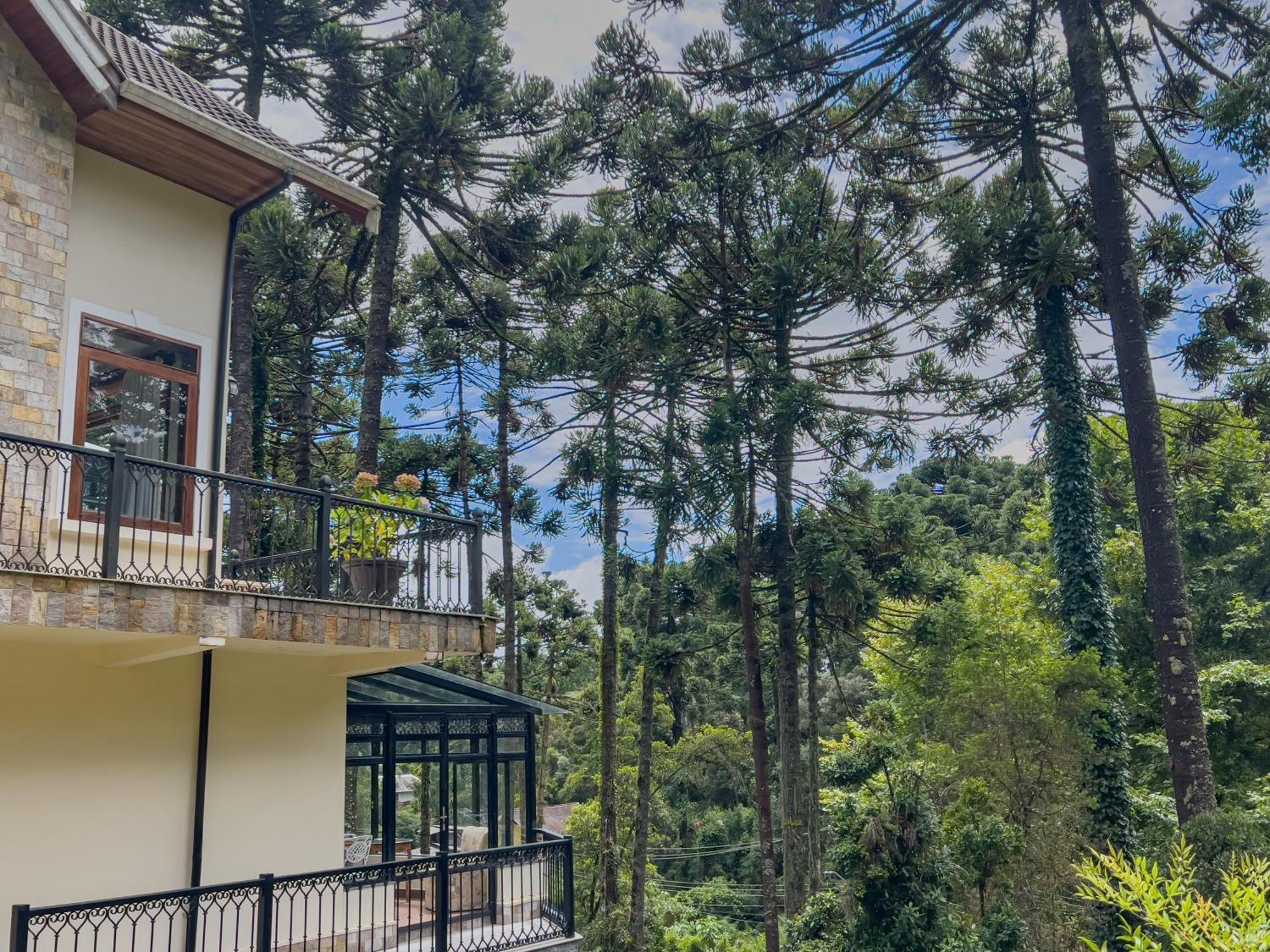 Araucaria Lodge Кампус-ду-Жордан Екстер'єр фото