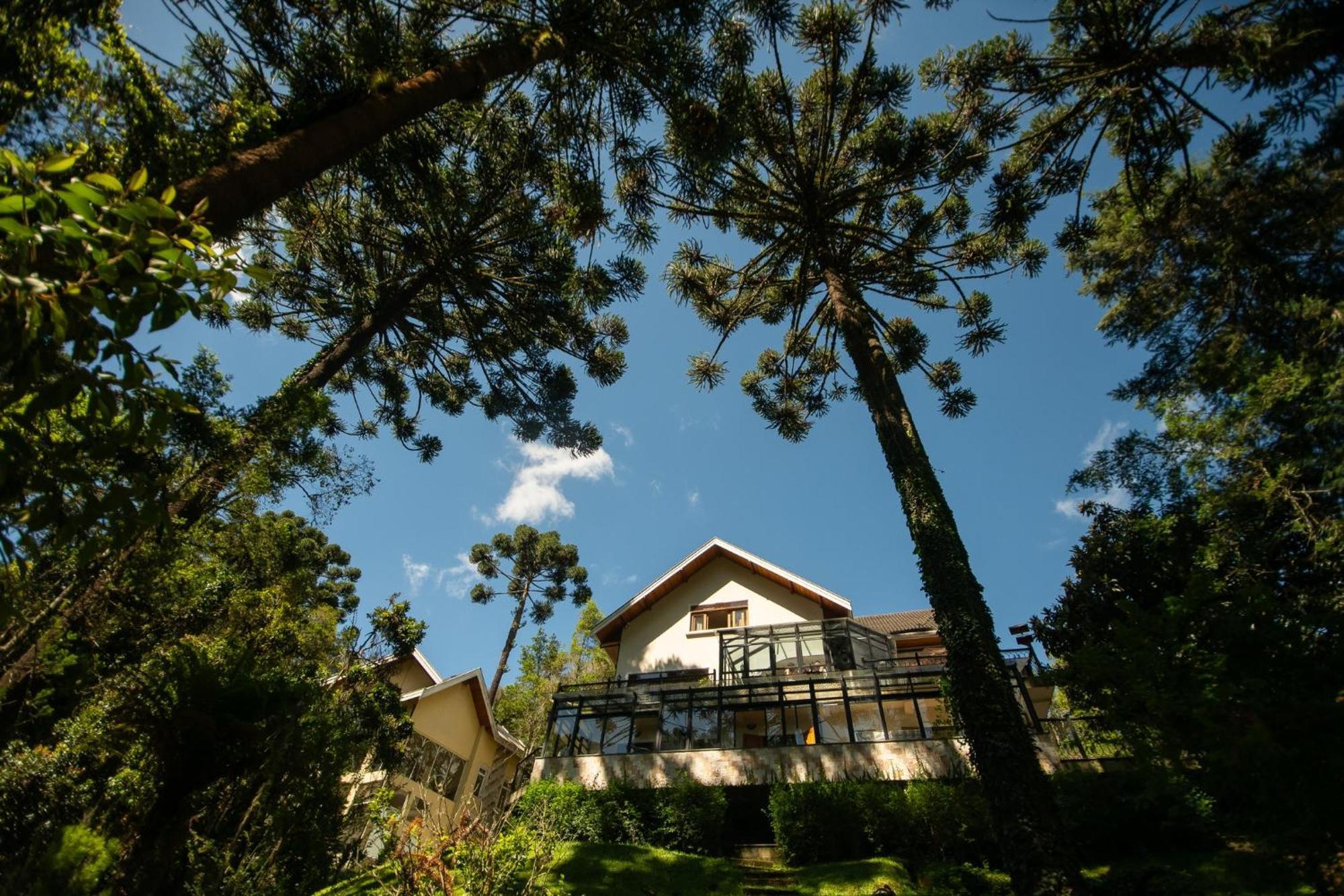 Araucaria Lodge Кампус-ду-Жордан Екстер'єр фото